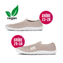 Leguanito Scio rose