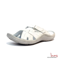 HmL1005