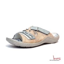 HmL1006