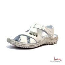 HmL1007