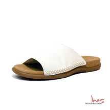 HmL1050