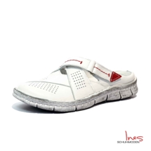 HmL1054
